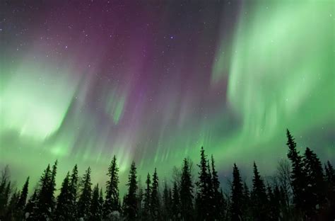 Aurora Forecast - See Northern Lights Today