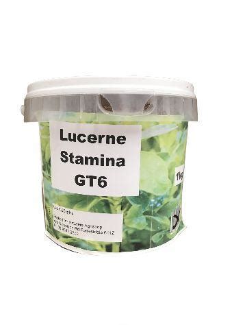 Lucerne Stamina GT6 Grass Seed 1kg - Agrishop