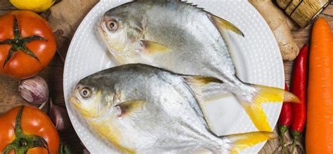 What Does Pompano Fish Taste Like? Does Pompano Taste Good?