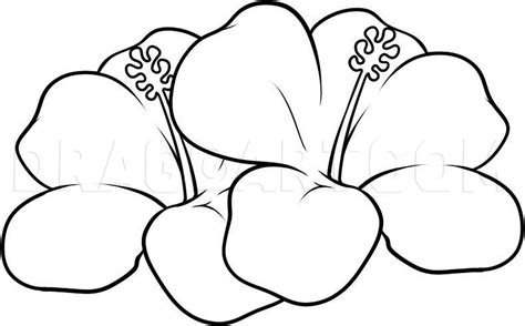 How To Draw Hawaiian Flowers Step by Step