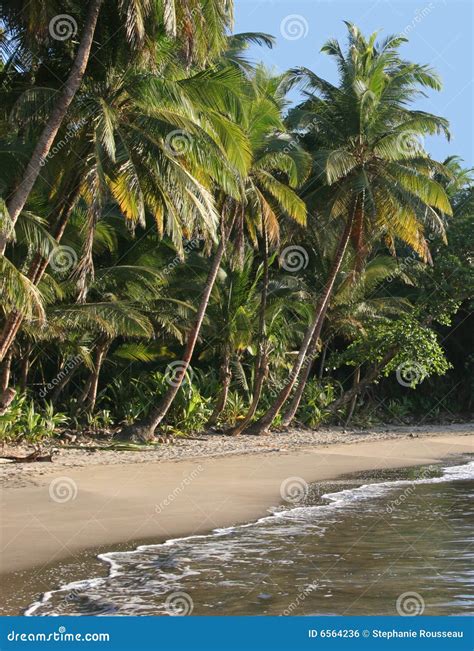 The Most Beautiful Beach in Dominica, Batibou Beac Stock Photo - Image ...