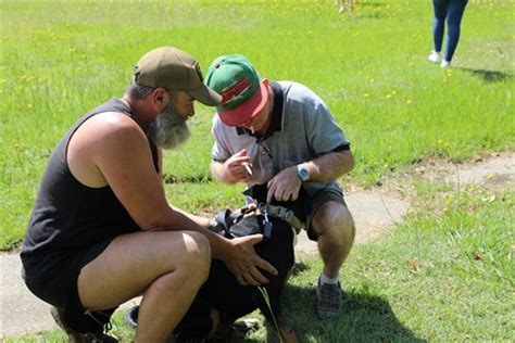 Mange and Parvovirus Treatment and Prevention Day | West Kempsey - Kempsey Shire Council working ...