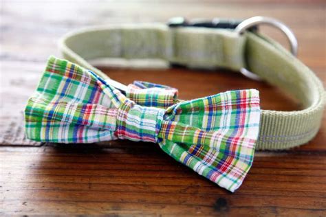 Adorable DIY Dog Collars to Make Walk Time Extra Stylish