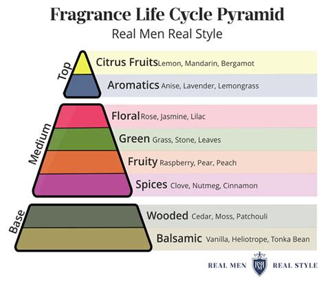 Fragrance Notes Women Find Attractive | Men's Colognes Women Love