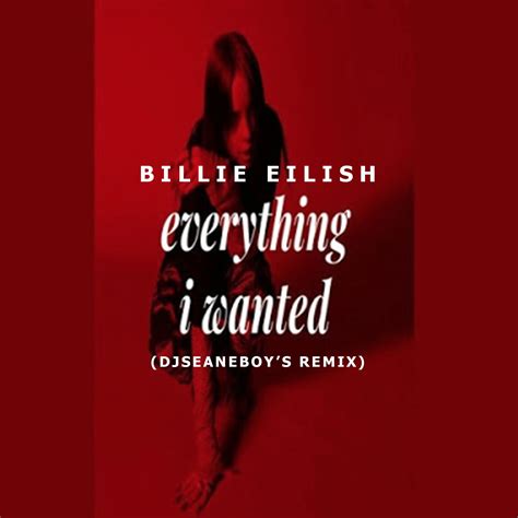 Billie Eilish - Everything I Wanted (djseanEboy's Remix) [unofficial] by djseanEboy | Free ...