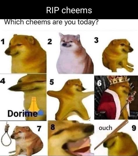 RIP cheems Which cheems are you today? - iFunny