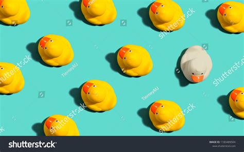 One Out Unique Rubber Duck Concept Stock Photo (Edit Now) 1183489504