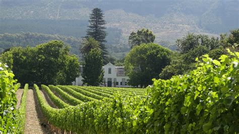 Wine Farm "Buitenverwachting" South Afrika, Constantia, Cape Town, Farmland, Vineyard, Towns ...