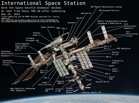 Explainer: the International Space Station | SBS News