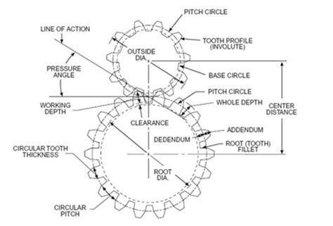 diagram of a gear - Green Lab