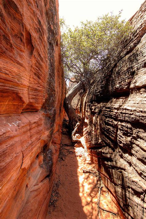 Snow Canyon Secrets: Petroglyphs – Greater Zion