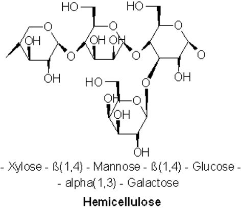 Difference Between Cellulose and Hemicellulose | Compare the Difference Between Similar Terms