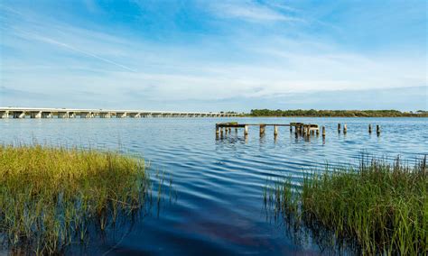 The 10 Best Fishing Spots in Florida This Summer - AZ Animals