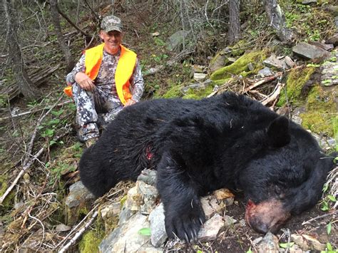 Best Montana Black Bear Hunts | Montana Hunting Outfitter