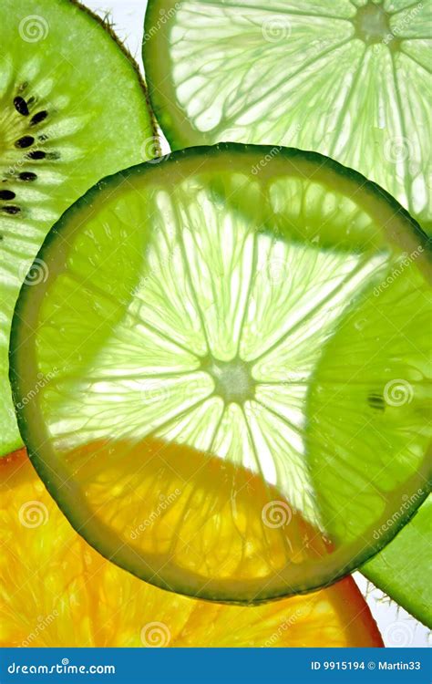 Fruit slices stock photo. Image of sliced, juicy, citrus - 9915194