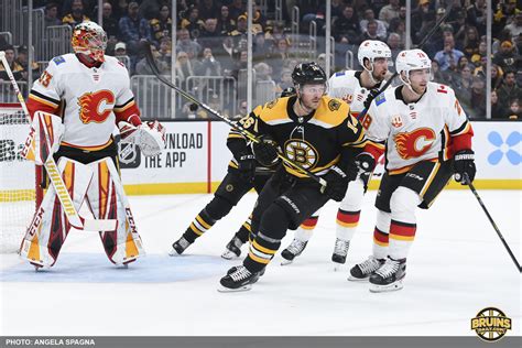 'Don't Poke the Bear' prepares Bruins fans for a Black and Gold-en ...