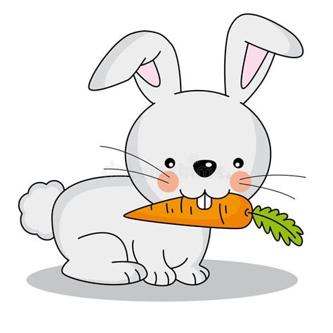 Rabbit Eating Carrot Illustration