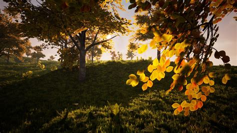 Broadleaf Forest Pack in Environments - UE Marketplace