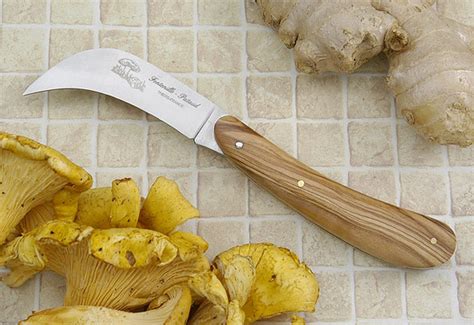 Best Mushroom Knives - Knife Sharpener Guru