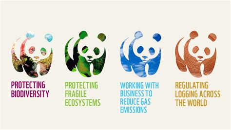 ASHA & Co | Charity logos, Wwf, Non profit