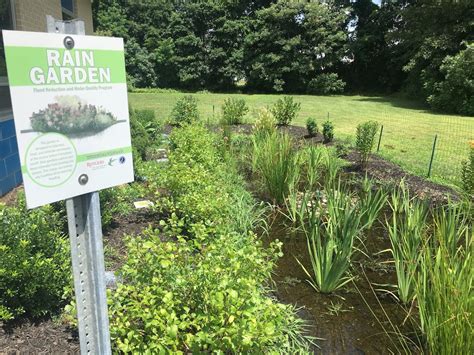 Welcome to the Rain Gardens of Union County Project (Rutgers NJAES)