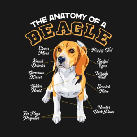 The Anatomy Of A Beagle Funny Quotes Sayings - Beagle - T-Shirt | TeePublic