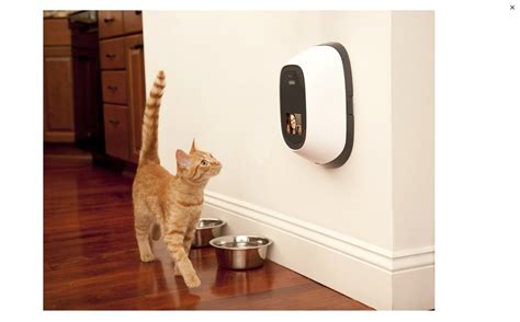 12 Best Pet Cameras: Treat Dispensers & Surveillance Monitors - Petsho