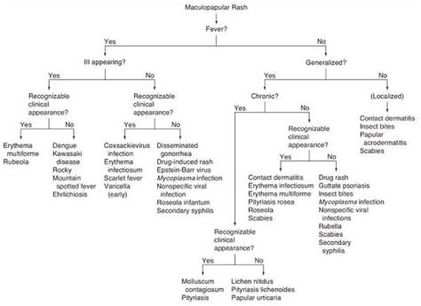 Maculopapular Rash - Pictures, Causes, Diagnosis