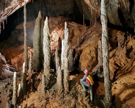 Stalagmites Reveal Ancient Secrets | Audubon