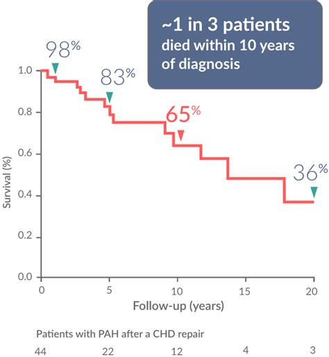 Risk of PAH in CHD | Screen PAH-CHD