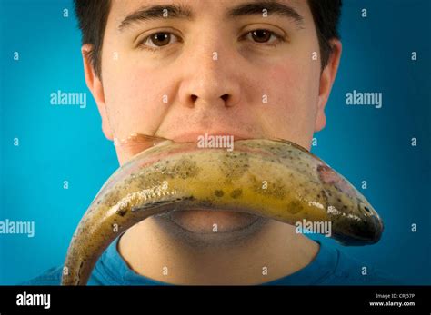 Young man eating a fish literally. Many medical studies about the health benefits of omega-3 ...