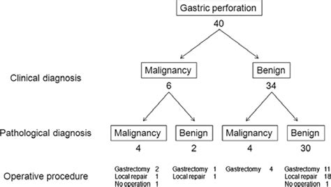 The clinical and pathological diagnoses and surgical procedures in ...