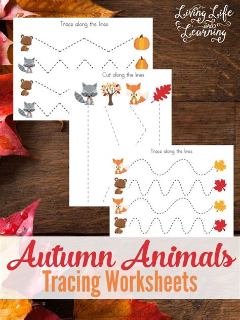 FREE Autumn Animals Tracing Worksheets | Autumn animals, Fall preschool ...