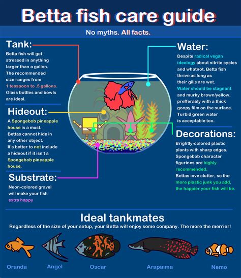 "I made a shitty Betta fish care guide" (Original, with source) : r ...