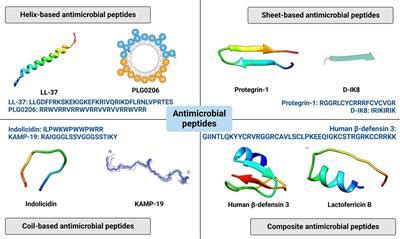 Frontiers | Antimicrobial peptides for bone tissue engineering: Diversity, effects and applications