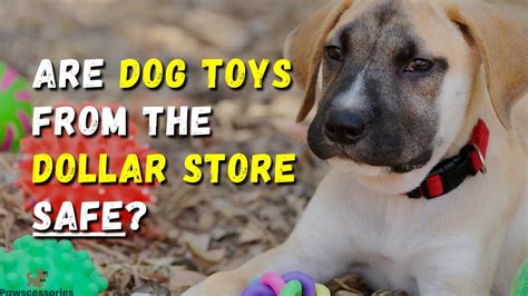 Are Dollar Tree Dog Toys From Safe? (The Truth...)