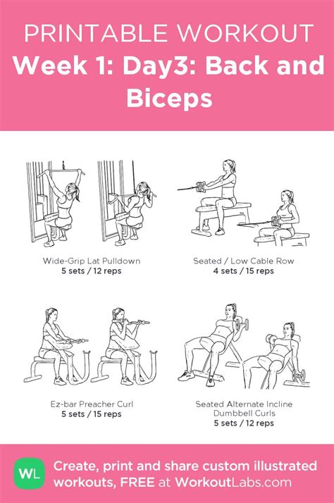 Week 1: Day3: Back and Biceps | Back and bicep workout, Back and biceps ...