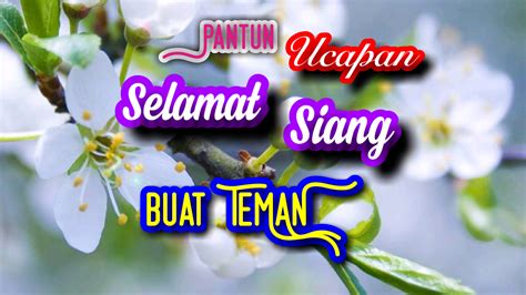 Pantun Ucapan Selamat Siang Buat Teman - Pantun Menarik Menghibur