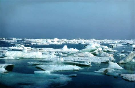 Study After Study in the Arctic Point to a New Climate Regime - Norton ...