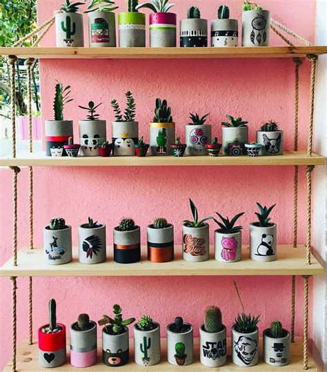 Pin by Gözde on kendin yap | Cactus, Floating shelves, Air plants