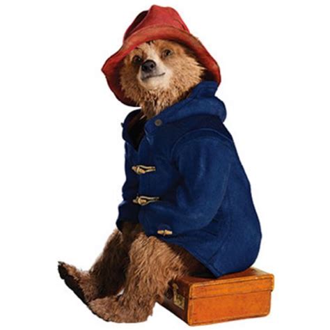 Paddington Bear Costume - Fancy Dress