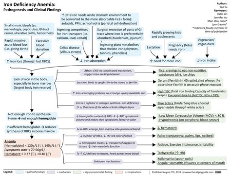 Iron Deficiency Anemia | Calgary Guide