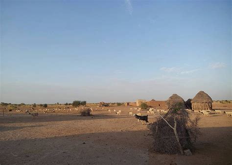 Desert / Camel Safari Jodhpur | Namaste Rajasthan