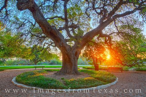 Sunrise on the St. Edward's University Campus | St. Edward's University ...