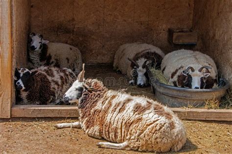 The Zoo in Sioux Falls, South Dakota is a Family Friendly Attraction for All Ages Stock Photo ...