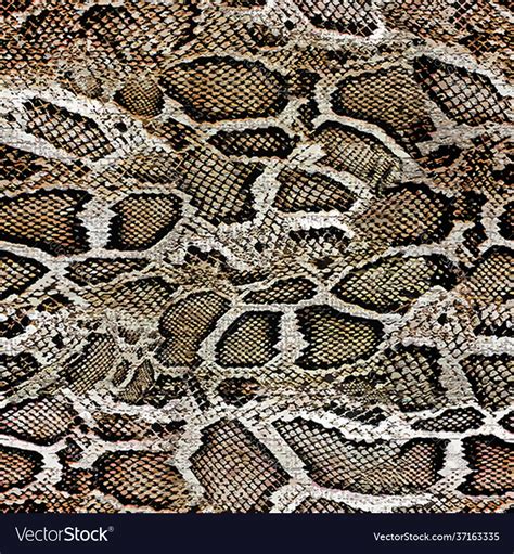 Snake Scales Texture