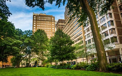 Rittenhouse Square | Community Guide | Patrick Campbell