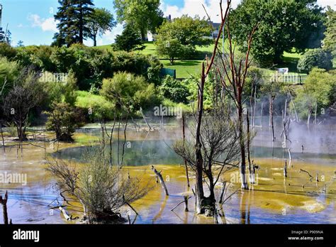 Geothermal park in central Rotorua Stock Photo - Alamy