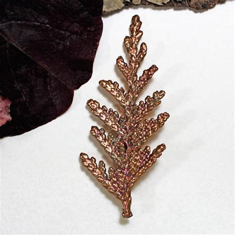 Arborvitae Pin | OF NATURE