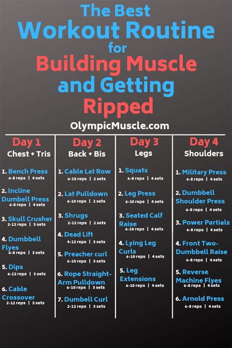 Best Workout Routine for Building Muscle and Getting Ripped